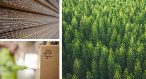 What Is Sustainable Packaging Design? | Bundle Packaging