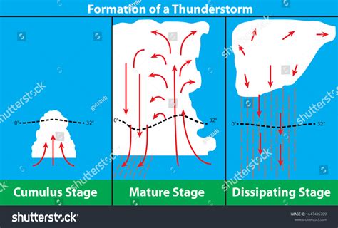 Diagram Formation Thunderstorm Stock Vector (Royalty Free) 1647435709 ...