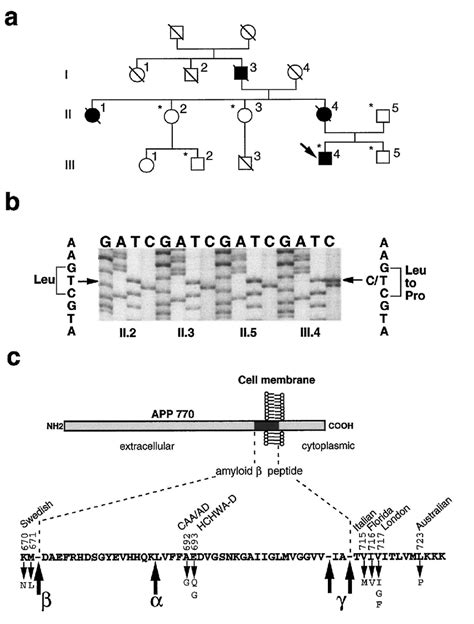 Amyloid precursor protein (APP) missense mutation in an Australian... | Download Scientific Diagram