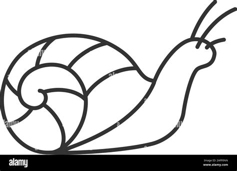 Snail linear icon. Thin line illustration. Slug. Contour symbol. Vector ...