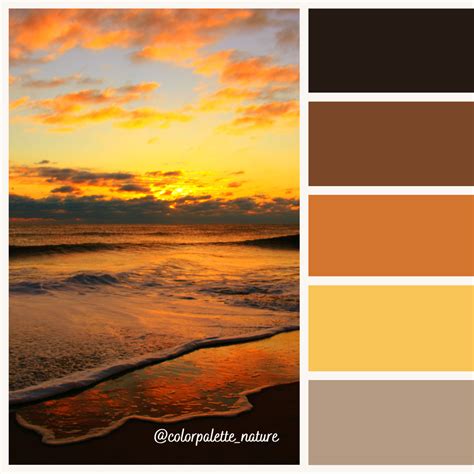 Sunset Color Palette in 2022 | Sunset color palette, Sunset colors ...