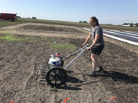 Using a Flame Weeder in Vegetable and Fruit Crops