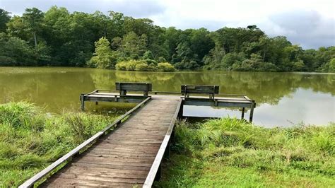 Fossil Beach: A Coastal Hike at York River State Park