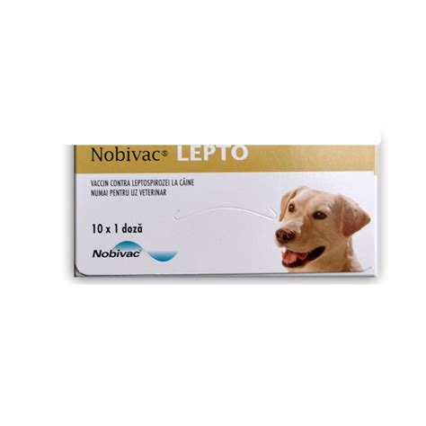 injection Canine Leptospirosis Vaccine Nobivac Lepto, For Clinical, Packaging Size: 1 Vail at Rs ...