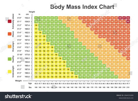 Adult Bmi Chart In Pounds