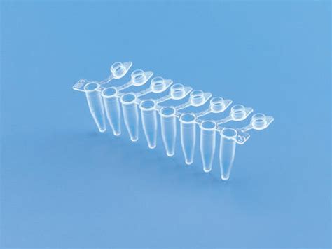 Pcr Tubes at Best Price in Delhi, Delhi | Vikrant Life Sciences Pvt. Ltd.