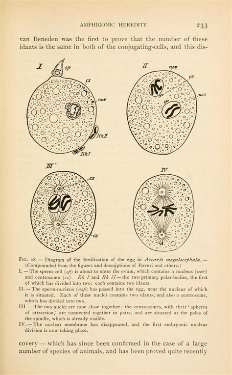 The germ-plasm; a theory of heredity : Weismann, August, 1834-1914 : Free Download, Borrow, and ...