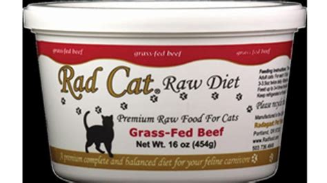 Brand of raw cat food recalled over listeria concerns | CTV News