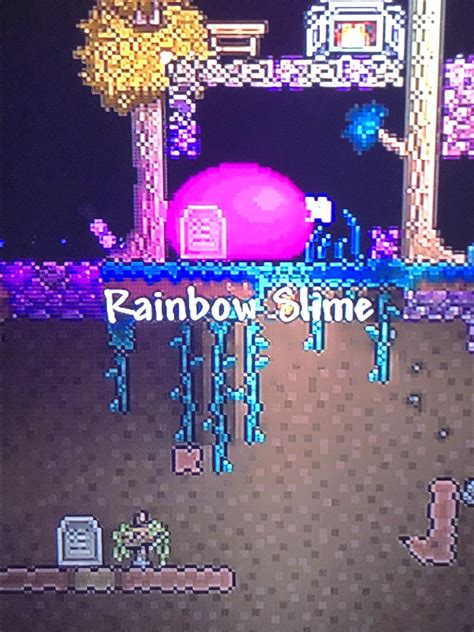 How Rare Is A Rainbow Slime In Terraria - Pecho Wallpaper