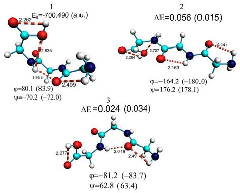 Optimized conformations of the glycine tripeptide. | Download Scientific Diagram