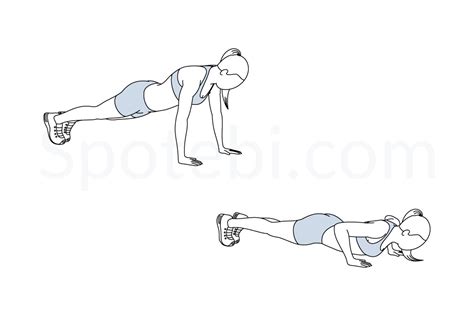 Push Up | Illustrated Exercise Guide