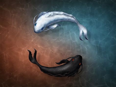 1280x960 Yin and Yang Fish Symbol 1280x960 Resolution Wallpaper, HD ...