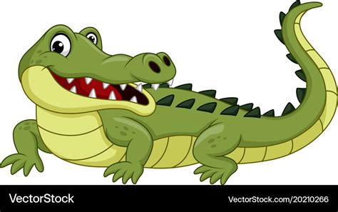 Cartoon crocodile isolated on white background Vector Image