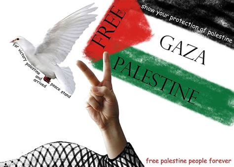 HD wallpaper: Palestine, flag, dove, Gaza, hands, supporters ...