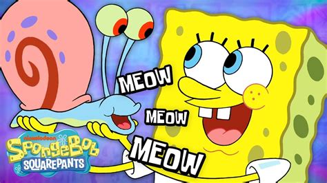 Gary Spongebob Meow