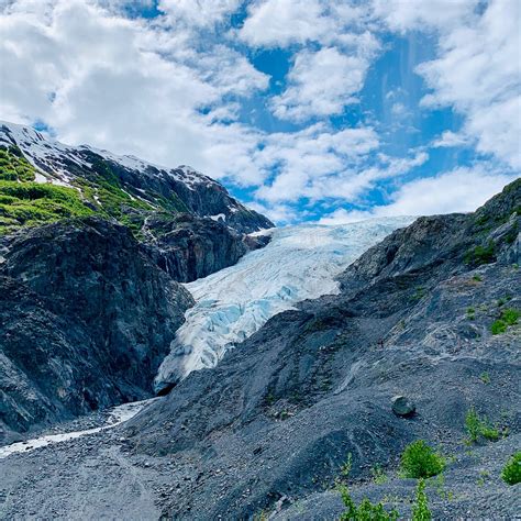 EXIT GLACIER (Parc national de Kenai Fjords): Ce qu'il faut savoir