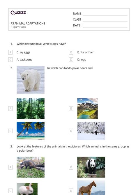 50+ animal adaptations worksheets on Quizizz | Free & Printable