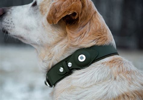 Personalizable Faux Leather Apple AirTag Dog Collar by Nine Twenty ...