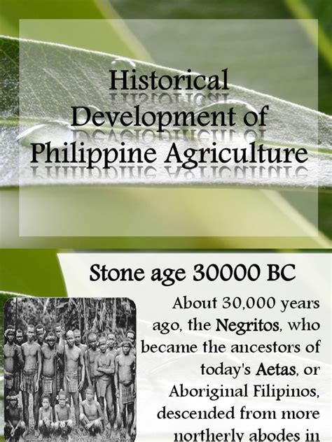 History of Philippine Agriculture | PDF | Philippines | Agriculture