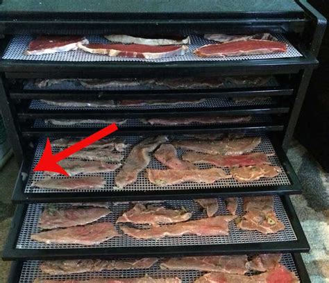 Cleaning your food dehydrator | Backcountry Paleo