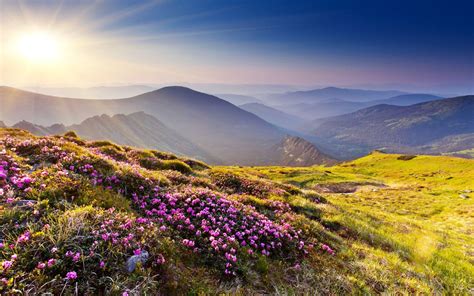 Mountain Meadow Wallpapers - Top Free Mountain Meadow Backgrounds ...