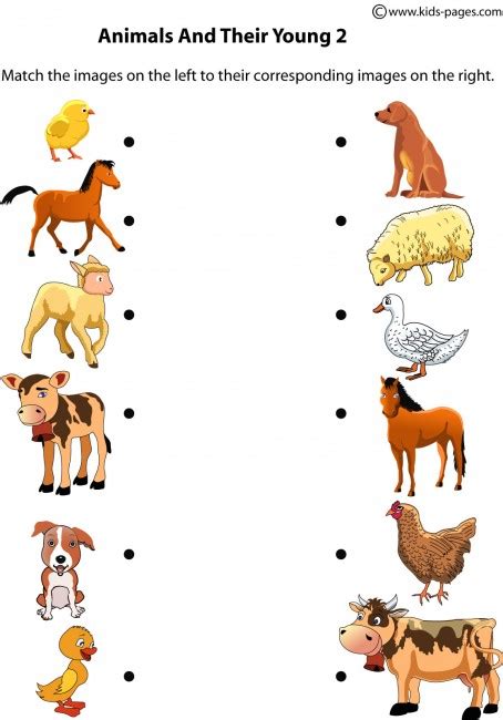 Animals and Their Young 2 worksheet