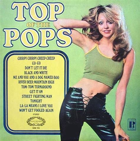 Unknown Artist – Top Of The Pops Vol. 18 – Vinyl (LP, Album, Stereo ...