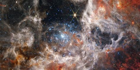 Gallery of Decorative Panels - Tarantula Nebula - 3