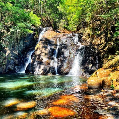 Atherton Tablelands Waterfalls