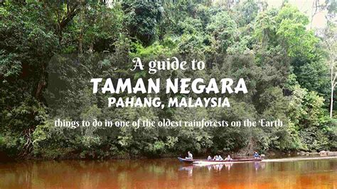 A guide to Taman Negara, Pahang, Malaysia- things to do in the jungle