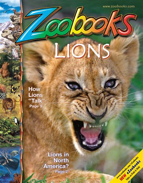 Zoobooks | Animal magazines, Magazines for kids, Lion