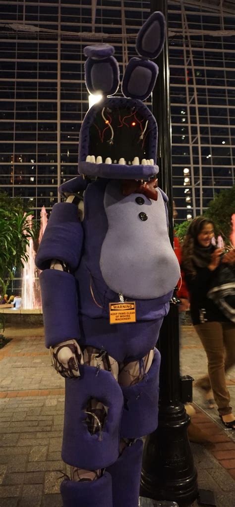 Stray's Hutt | Fnaf cosplay, Fnaf costume, Bonnie costume