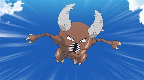 16 Facts About Pinsir - Facts.net