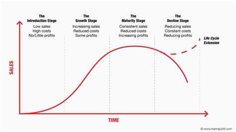 4 Stages of a business life cycle on the way to success