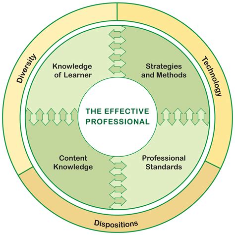 Conceptual Framework