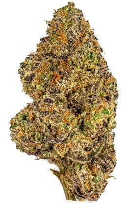 Pink Runtz Strain - Hybrid Cannabis Video Review : Hytiva