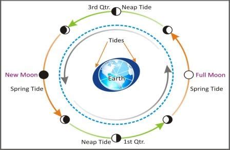 video for kids to know about tide and ebb and its reasoning to happen