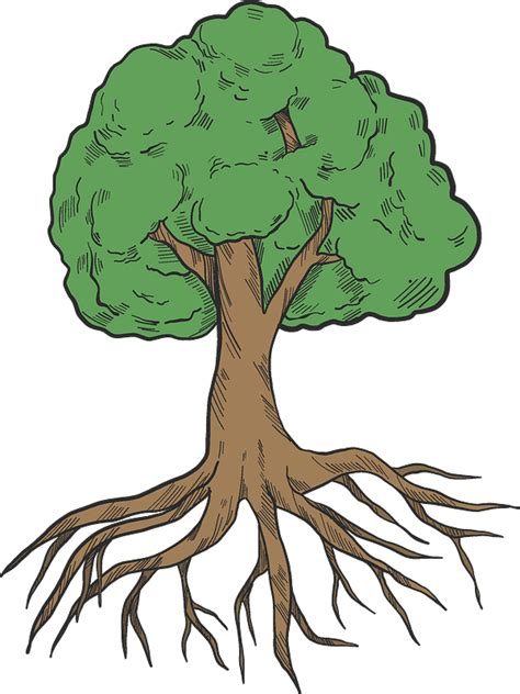 Tree with roots clipart. Free download transparent .PNG | Creazilla