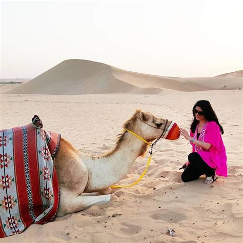 Here's my buddy. Isn't he gorgeous? I was telling this beautiful #camel🐪 how fashionable he ...