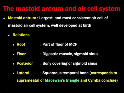 PPT - Anatomy of ear and mastoid PowerPoint Presentation, free download - ID:9992867