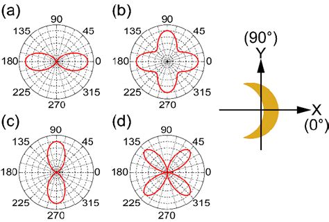 Polar plots of SH intensity as a function of the polarization angle of... | Download Scientific ...