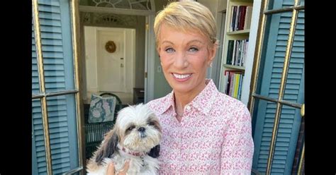 Who created The Comfy? 'Shark Tank' judge Barbara Corcoran made a whopping $468M from investing ...