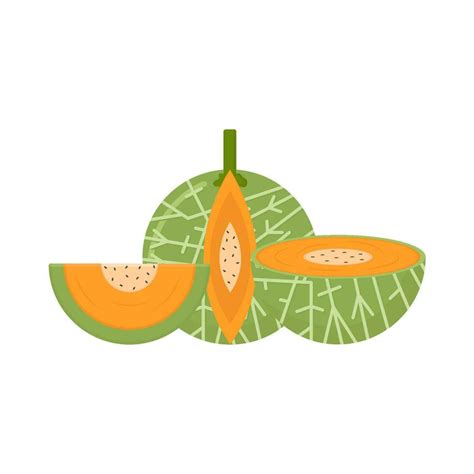 cantaloupe slice illustration 36417513 Vector Art at Vecteezy