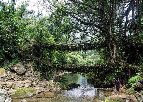 Caves in Cherrapunji: Burrow Through The Longest Caves In India