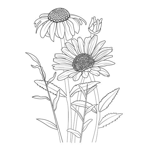 gerbera daisy drawing outline, easy gerbera daisy drawing, outline simple daisy drawing ...