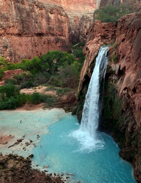 15 Best Swimming Holes in the US - The Crazy Tourist | Havasu falls, Grand canyon waterfalls ...