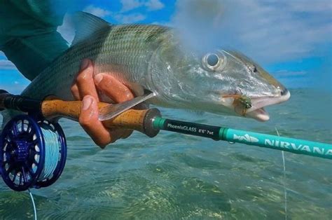 The Best Fiberglass Fly Rods: 9 Expert Picks Reviewed (2024)