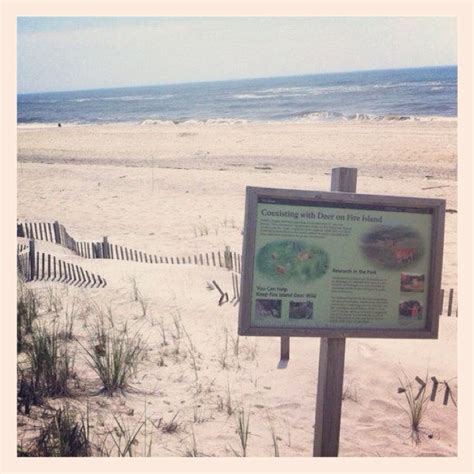 Fire Island Pines beach | Fire island, Fire island pines, Island beach