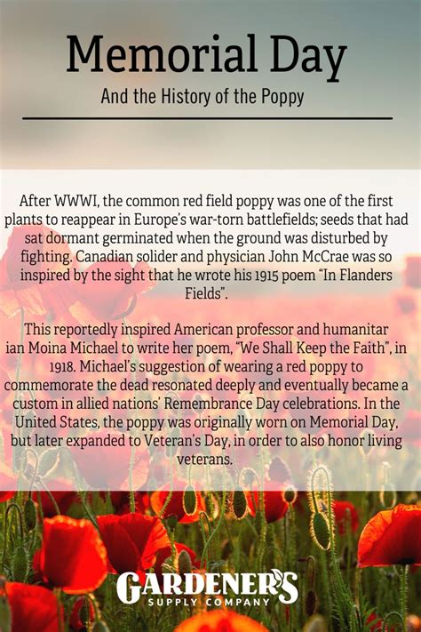 Memorial Day and the History of the Poppy in 2021 | Memorial day ...