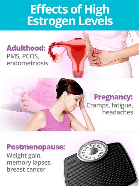 Estrogen Levels | SheCares | Oestrogen, Low estrogen symptoms, Estrogen hormone